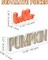 Thanksgiving Decorations for Home, Fall Decorations, 2PCs Wooden Pumpkin Blocks for Thanksgiving Decor, Decorative Autumn Sign with Hello Pumpkin Lettered Centerpieces for Harvest Halloween